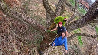 ЖИВОТ на СЕЛО: Как се грижим за ОПАСНИТЕ и високи ДЪРВЕТА