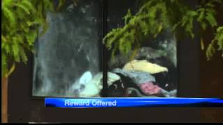 Cops seek help solving Rio Rancho murder