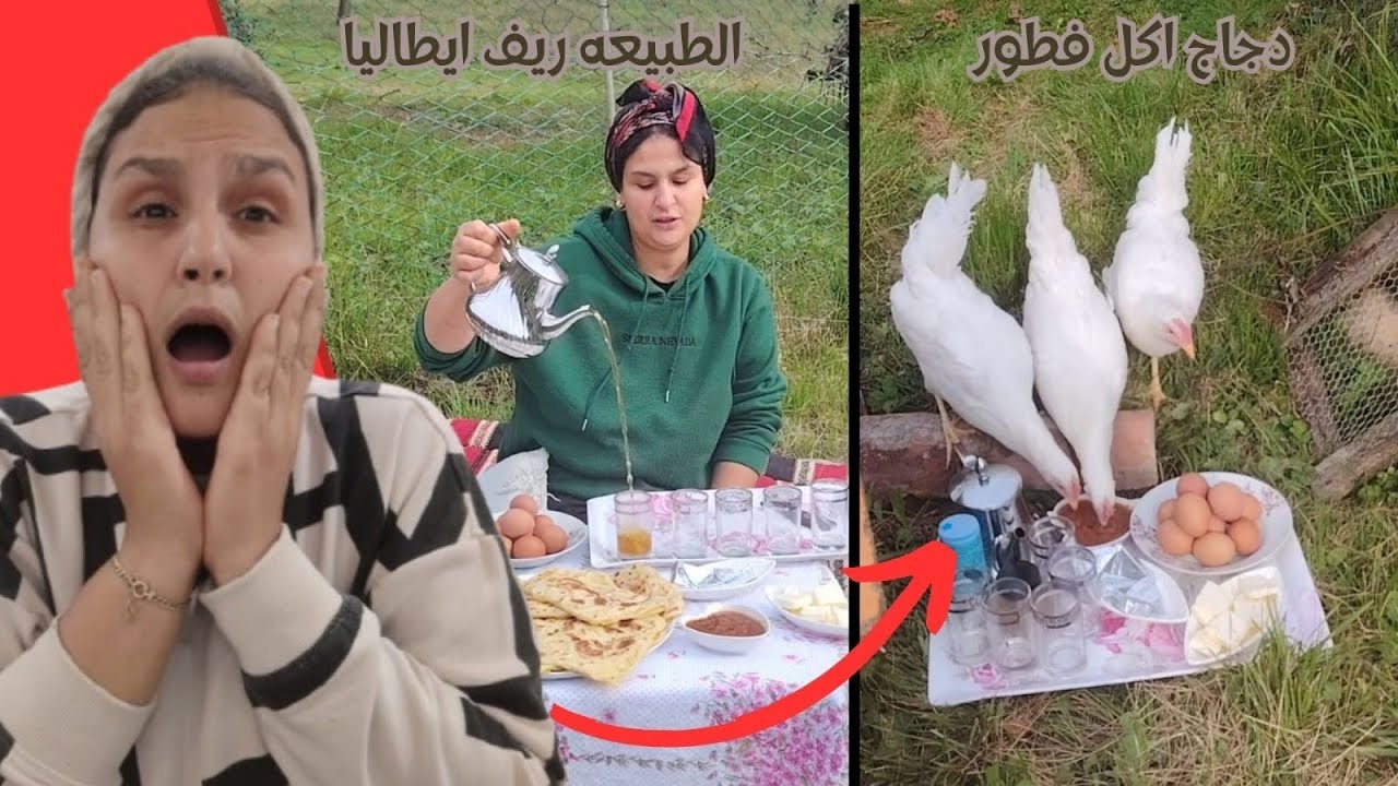 فطور في الطبيعة  اجواء اكثر من رائعه في عروبية ديال ايطاليا 🇮🇹دجاج 🐓كان غير كلي الفطور ديالي😅