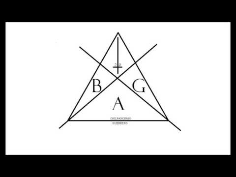 Black Art Gang - Flex Flix