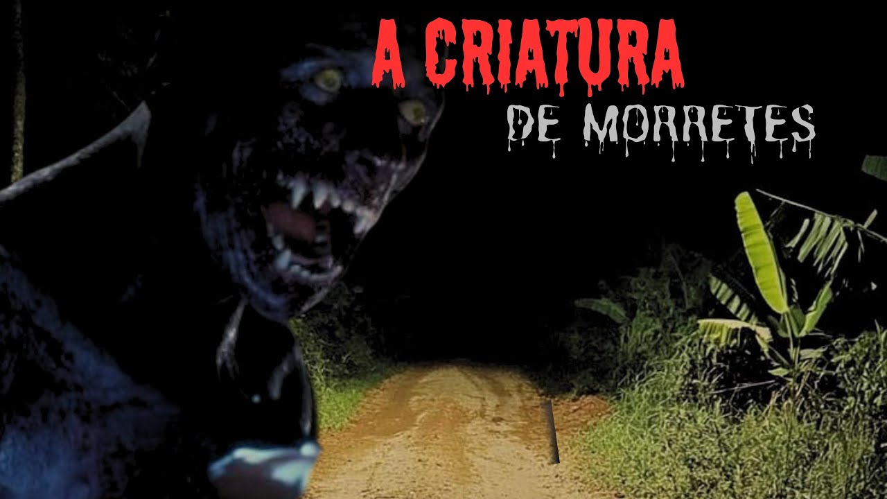 A CRIATURA DE MORRETES NO PARANÁ.