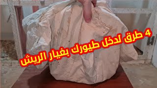 4 طرق لإدخال طيورك في غيار الريش بطرق سهلة وبسيطة