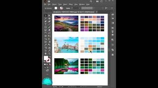 Create color palette from any image in illustrator | Illustrator tips and tricks