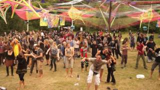 Psycrowdelica 2014 Mind Distortion System part 4