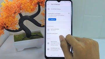 How To Turn Off Sync In DuckDuckGo App On Android