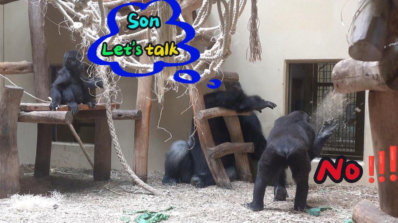 Kidogo: Son, we need have a talk😲💦 | The Kidogo’s Family