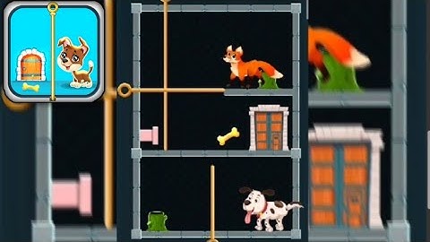 Save the puppy gameplay walkthrough