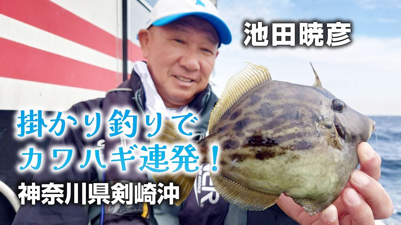 掛かり釣りでカワハギ連発！神奈川県剣崎沖