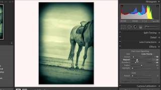 (値下げ)ADOBE LIGHTROOM5 アップグレード版 値下げ)ADOBE LIGHTROOM5 アップグレード版