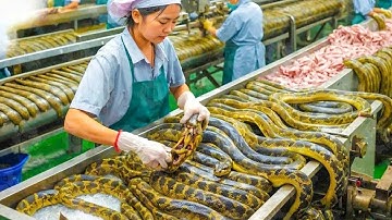 16 Minutes Satisfying Video Working & Exciting Factory Machines, Ingenious Tool, Admirable Worker