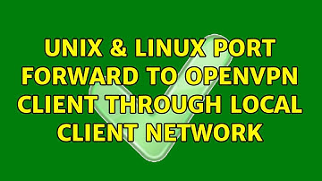 Unix & Linux: Port Forward to openVPN client through local client network