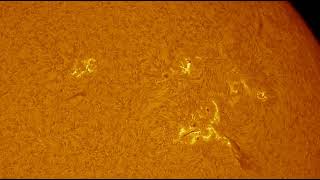 Active Region 3537 Sun in HAlpha