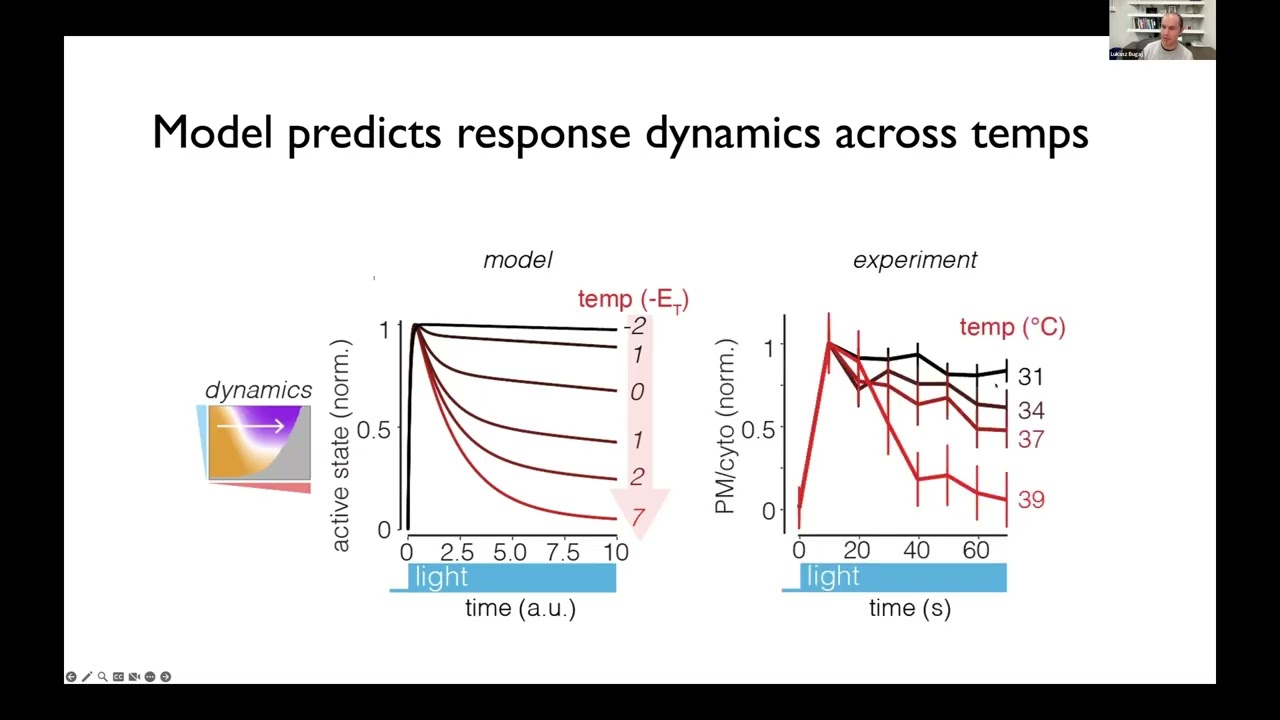 Lukasz Bugaj - Thermal control of proteins and cells