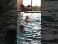 Let’s go swim #Shorts #Shorts2026 #Vacation #simple_family_life #family_vlog #lifestyle #Swimming