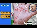 Интересные знаки ✦Хиромантия ☎ От Владимира Красаускас ❤1154