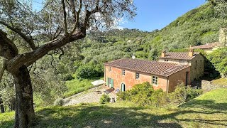 IL PIETRETO - For SALE in Tuscany, near Lucca, wonderful Tuscan farmhouse with land and amazing view