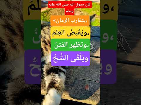 اللهم اتنا في الدنيا حسنة وفي الآخرة حسنة   حكمة اليوم توعية دينية دعاء الرزق