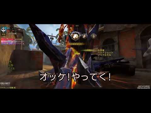 【CODモバイル】雑魚レジェ目指してのんびり頑張ります!
