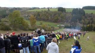 Boxc Honville 2014