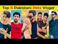 Top 5 Pakistani Pets Vloger | pets vloger #viralvideo #vlogger 