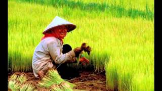 Culture and NEGOTIATION Part 3 - Dr. George Simons - Definitions