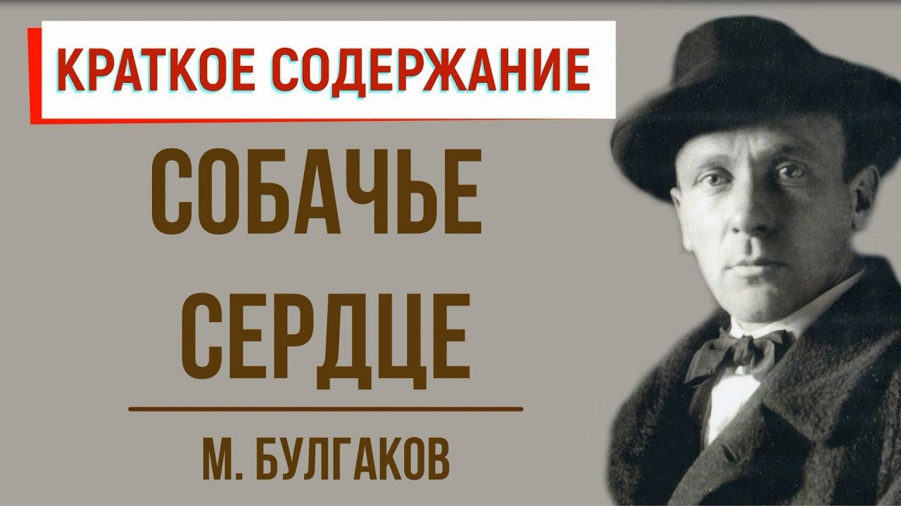 Собачье сердце. Краткое содержание - YouTube