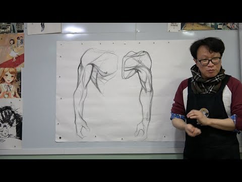 Arm Anatomy pt. 1 and Why we study Anatomy - Anatomy drawing - Teacher O