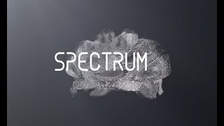 Rudy Project Spectrum Helmet