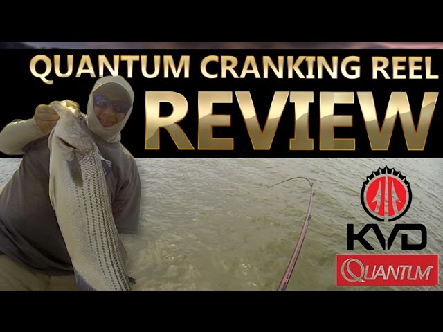 Quantum Fishing's KVD Reel Review 