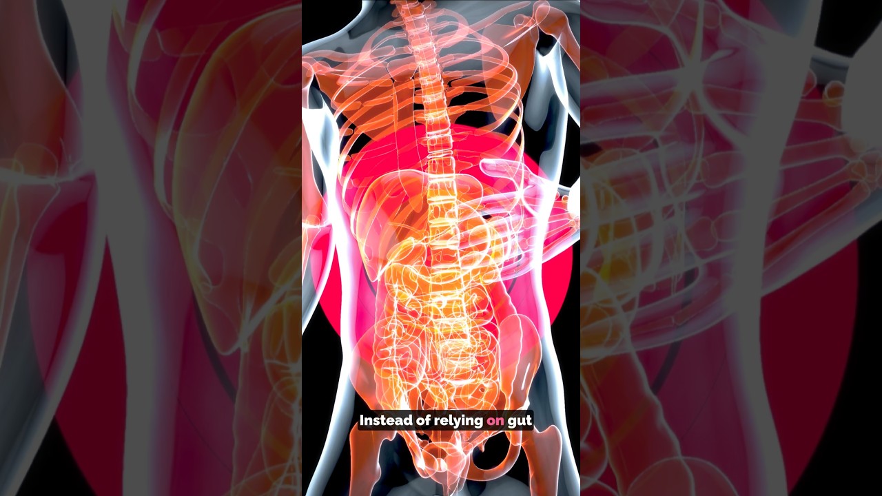 How a Structured Strategy 