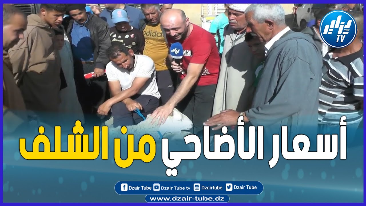 شاااهد ..شوفو السوق كفاه راهو في الشلف ...هذه هي أسعار الأضاحي من سوق الهرانفة ..