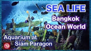 SEA LIFE Bangkok Ocean World☆シーライフ・バンコク・オーシャンワールド