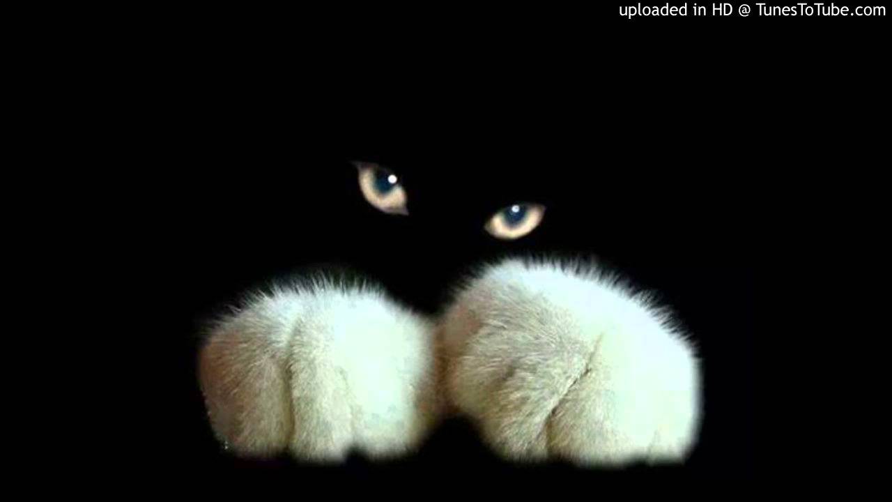 Guarda Yannick Fuchs - Outro (Original Mix) su YouTube Guarda Yannick Fuchs - Outro (Original Mix) su YouTube