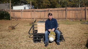 Lesson 5 - Beekeeping 101 Crash Course: How to install your bee package