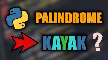 Python Palindrome (fonction récursive) : Entraîne toi grâce à cet exercice 🎯