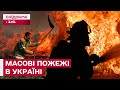 Україна У ВОГНІ! Страшні НАСЛІДКИ пожеж на Київщині та погіршення якості повітря!