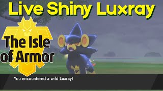 Shiny Luxray on the Isle of Armor Camp Showcase
