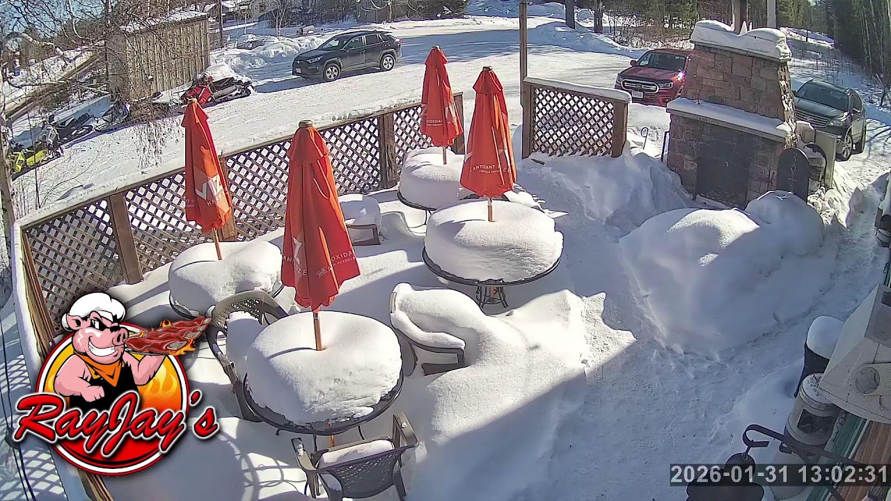 Ray Jay's Live Stream