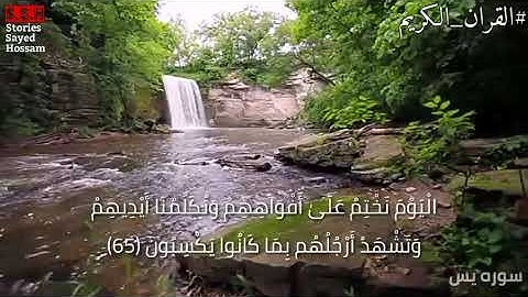 اليوم نختم على افواههم (سورة يس) | حالة واتس