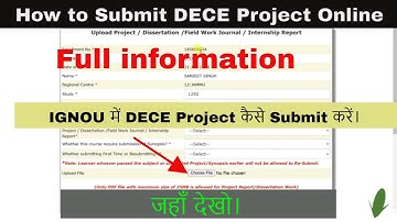 DECE Program Project Submit full information 2022 | DECE -04 project submit online 2022