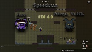 DDNet - Aim 4.0 Speedrun By Aoe & Ninja_Valik