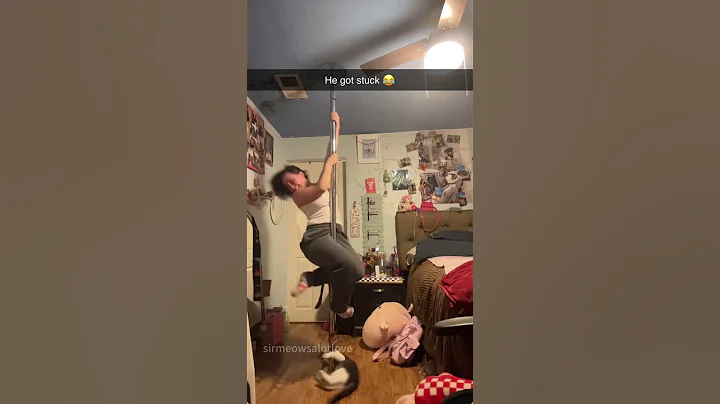 Watch the video about The Best Impersonator Of The Show#cat #catsoftiktok #catlover #funny #funnyvideos #foryou #fypage