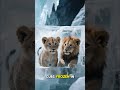 The Cave Lion Mystery #factfuel #facts #mindblown #history #didyouknow #animals