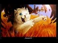 Top 7 Saddest Kit Deaths | Warrior Cats