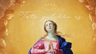 Video thumbnail of "Tota Pulchra es, Maria!"