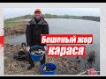 Бешеный жор карася Ч 1