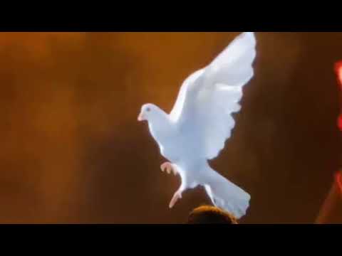 اجرای گروهی ترانه وطن با همراهی داریوش اقبالی در لس آنجلس 