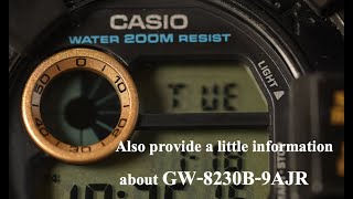 DW-8300D-1（1995）  Module number “1288”！ and New product (GW-8230B-9AJR) information . 😀