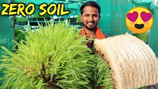 बिना मिट्टी - Organic Farming | 90% पानी की बचत | Hydroponics Farming in India | Indian Farmer