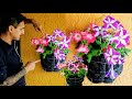 COMO HACER MACETAS DE PARED COLGANTES 2021 / wall hanging flower pots, ¡EXPERT LEVEL!